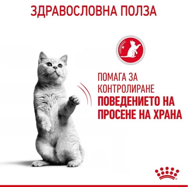 Royal Canin Appetite Control - Пълноценна мокра храна за котки над 12 месеца за контрол на апетита